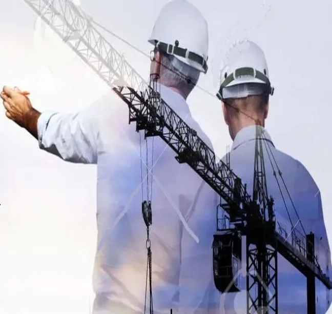 Inmobiliario / Construcción - Grupo GNOVIA